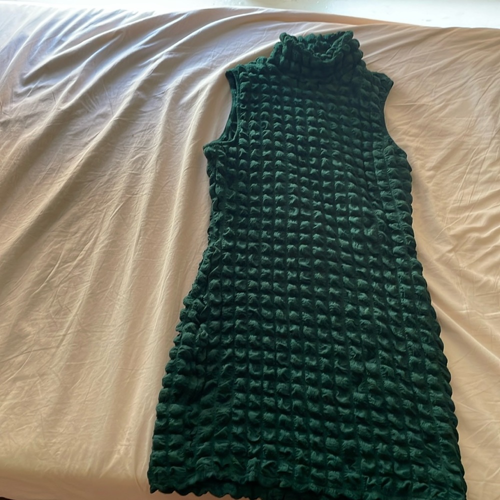 Green scrunchie turtle neck mini dress